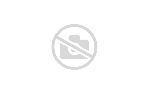 Кроссовки NIKE Dunk Low LX